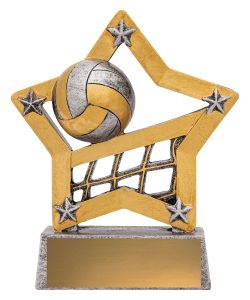 Mini Star Volleyball