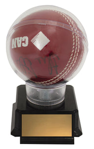 Cricket Ball Holder - Capsule