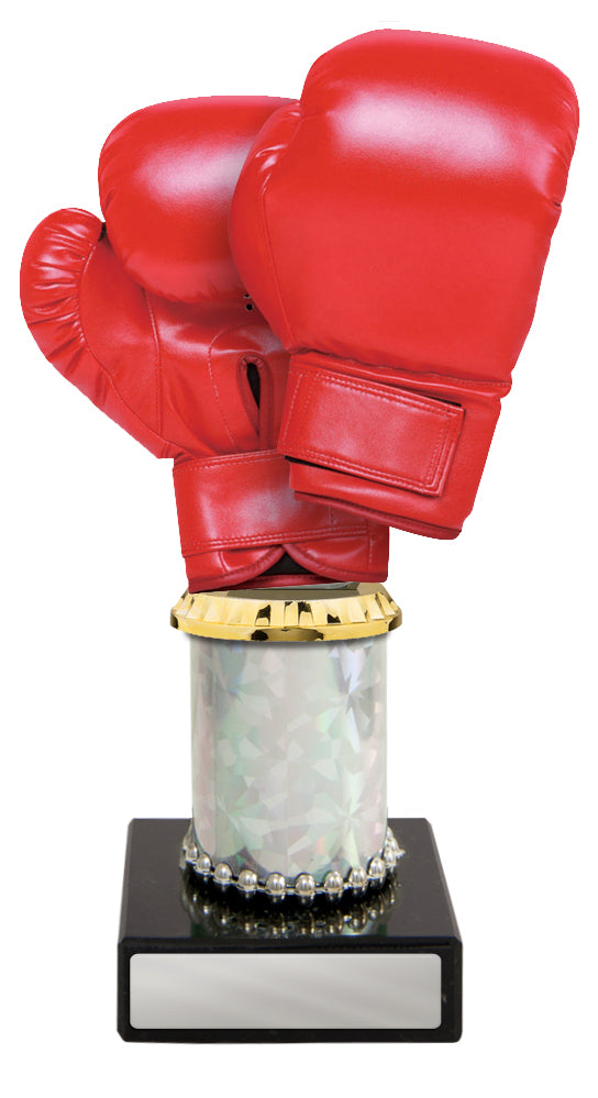 Boxing Glove (Acrylic) on Tubing and Marble