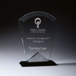 Glass Award with Metal Base